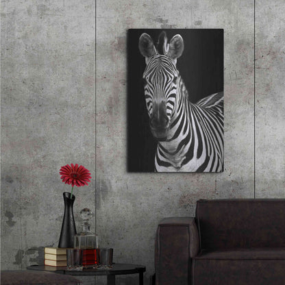 Luxe Metal Art 'Zebra II' by Debra Van Swearingen, Metal Wall Art,24x36