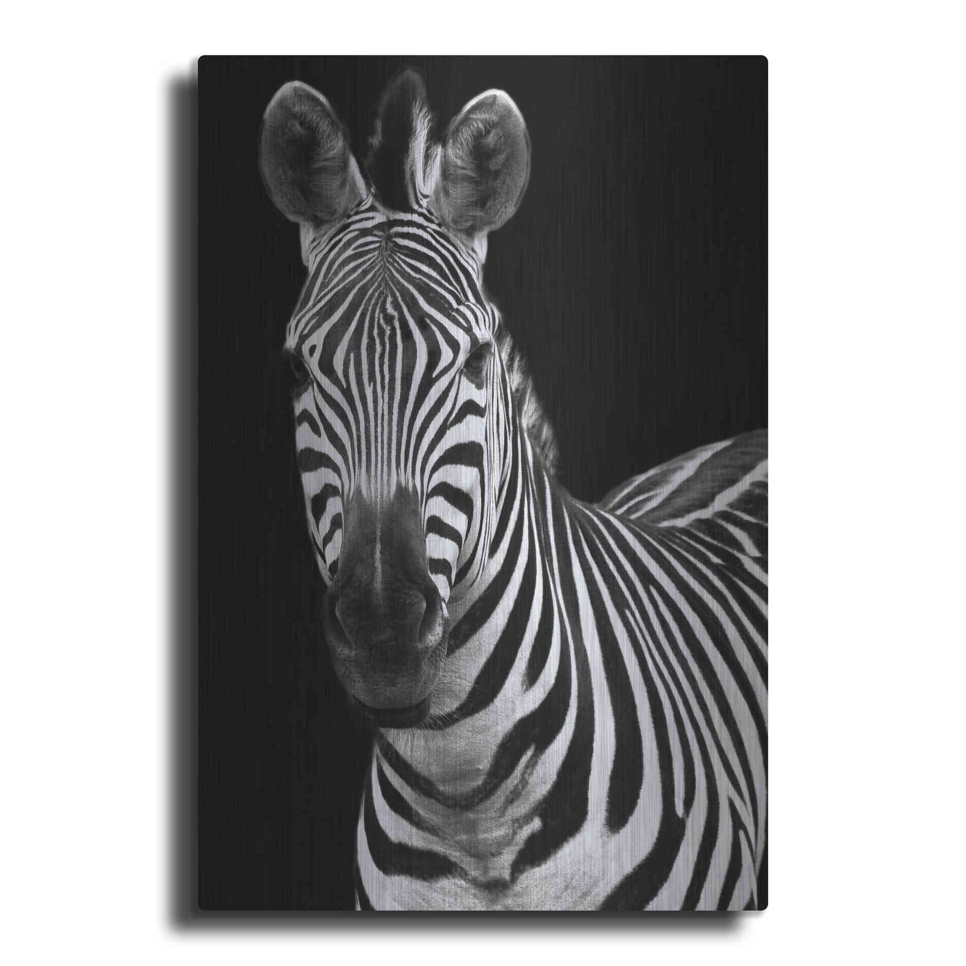 Luxe Metal Art 'Zebra II' by Debra Van Swearingen, Metal Wall Art