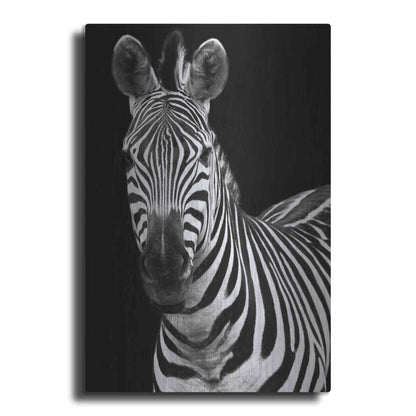 Luxe Metal Art 'Zebra II' by Debra Van Swearingen, Metal Wall Art