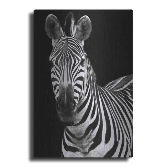 Luxe Metal Art 'Zebra II' by Debra Van Swearingen, Metal Wall Art