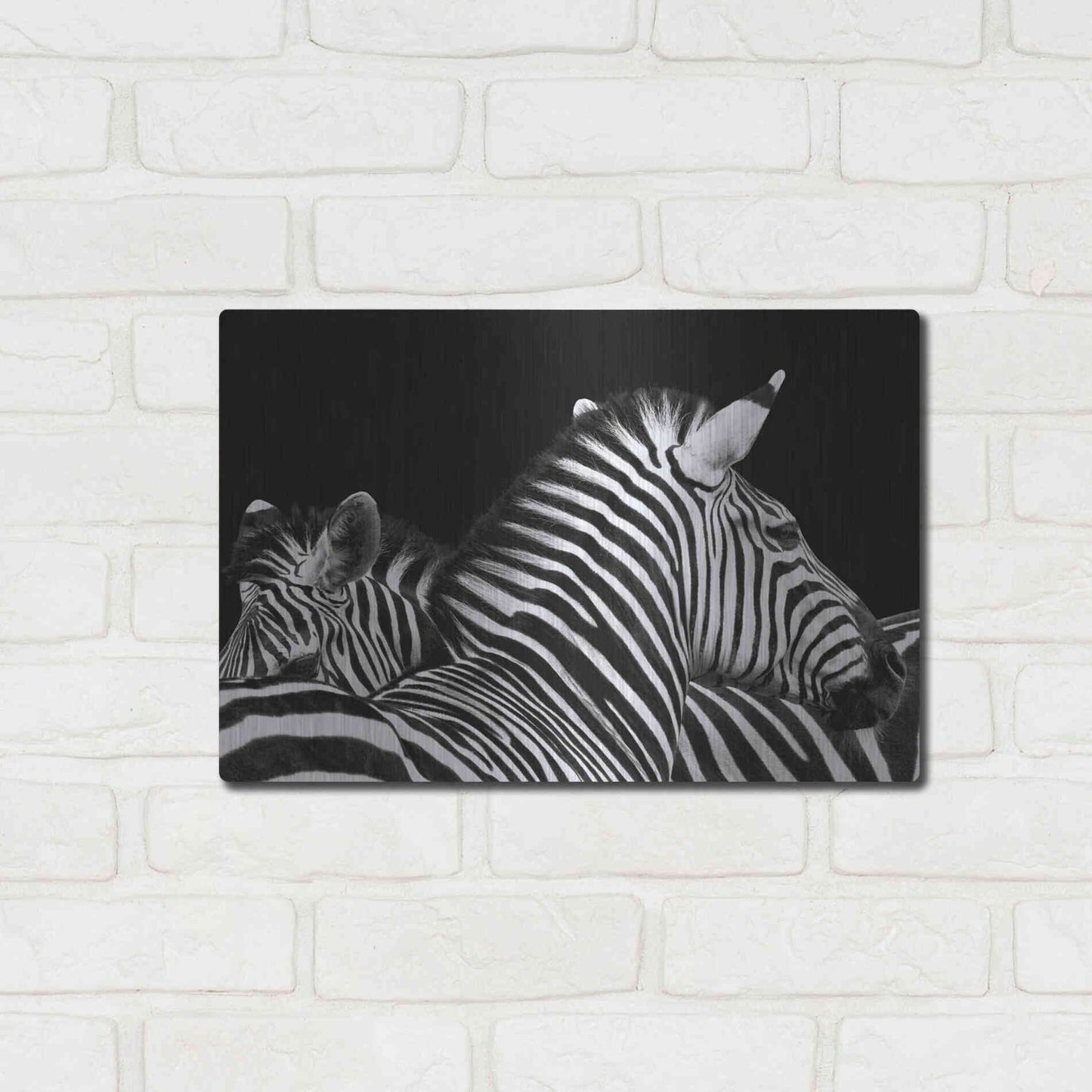 Luxe Metal Art 'Zebra I' by Debra Van Swearingen, Metal Wall Art,16x12