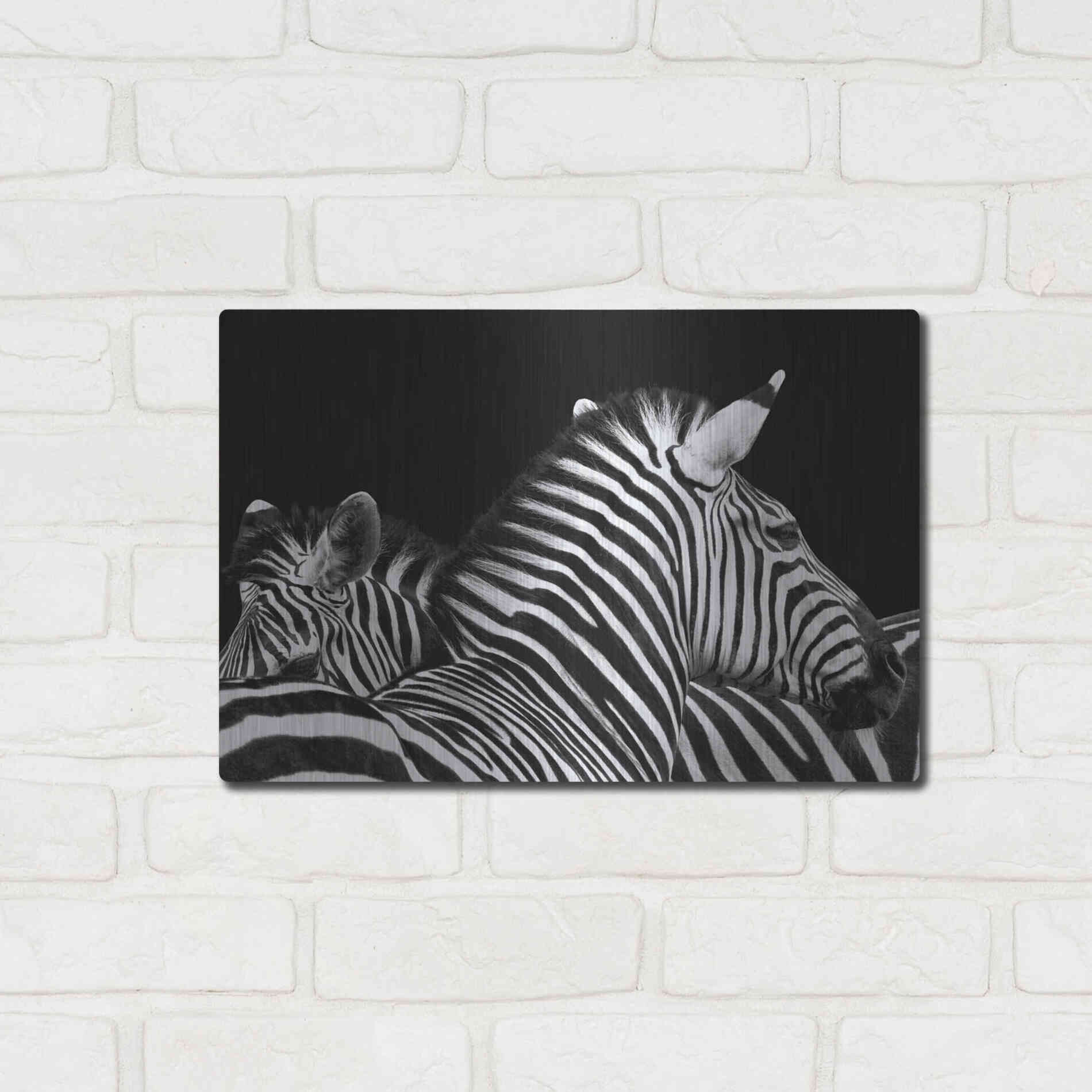 Luxe Metal Art 'Zebra I' by Debra Van Swearingen, Metal Wall Art,16x12