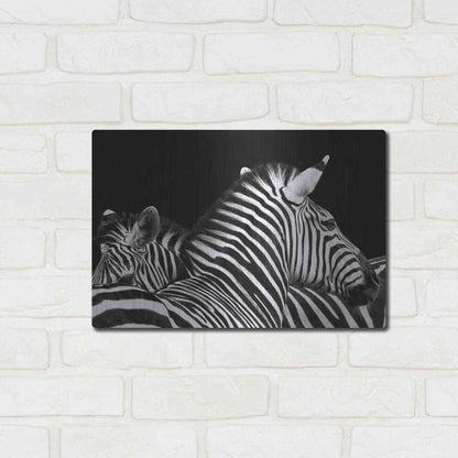 Luxe Metal Art 'Zebra I' by Debra Van Swearingen, Metal Wall Art,16x12