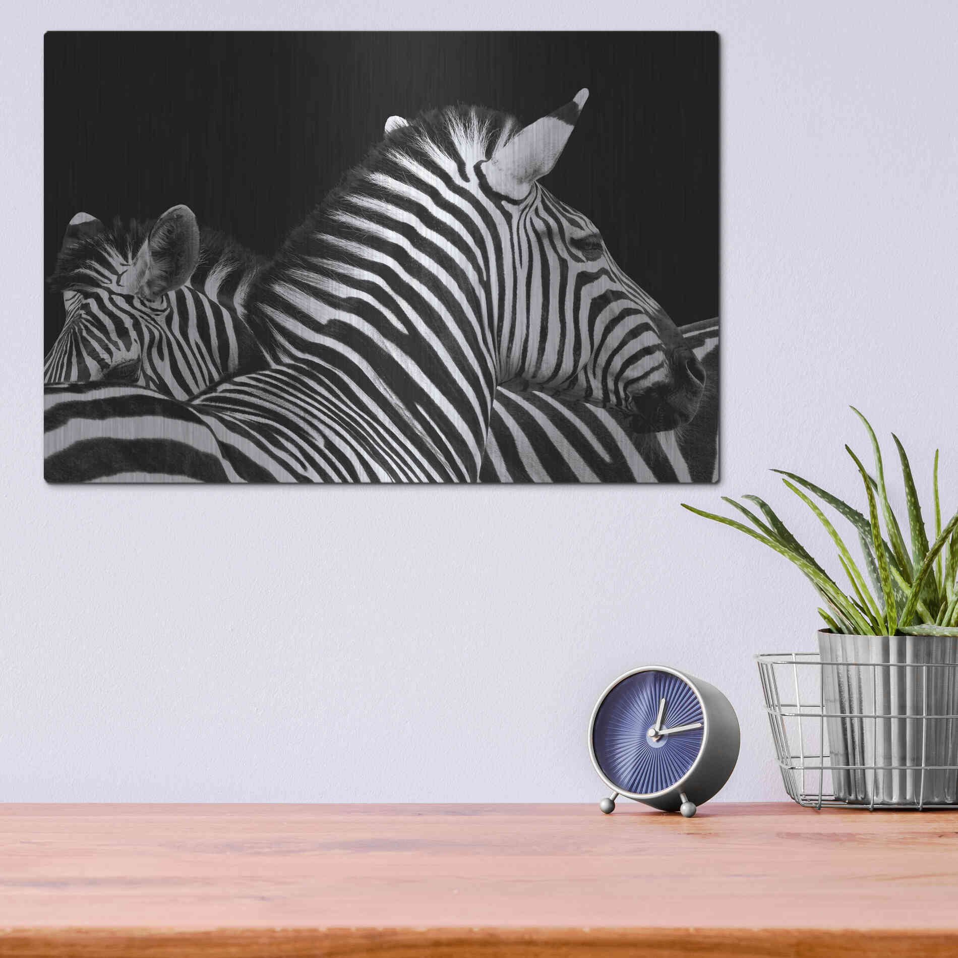Luxe Metal Art 'Zebra I' by Debra Van Swearingen, Metal Wall Art,16x12