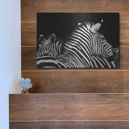 Luxe Metal Art 'Zebra I' by Debra Van Swearingen, Metal Wall Art,16x12