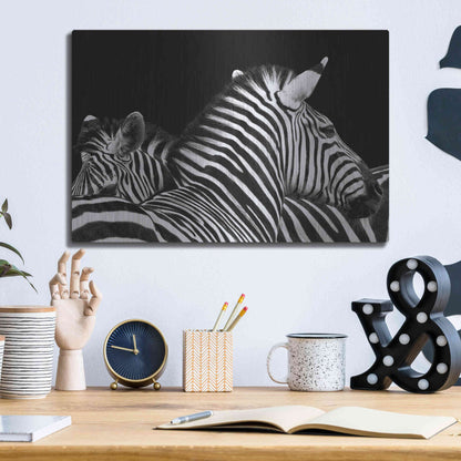 Luxe Metal Art 'Zebra I' by Debra Van Swearingen, Metal Wall Art,16x12