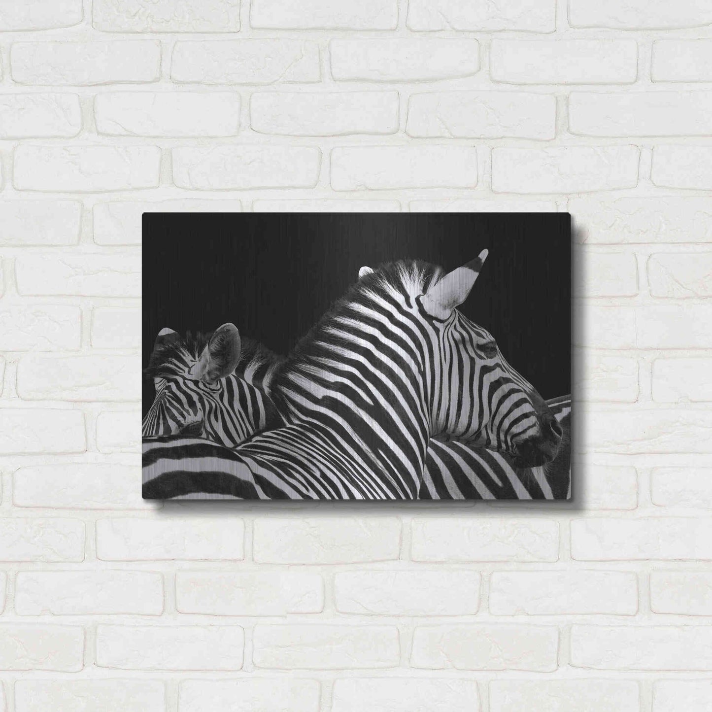 Luxe Metal Art 'Zebra I' by Debra Van Swearingen, Metal Wall Art,24x16
