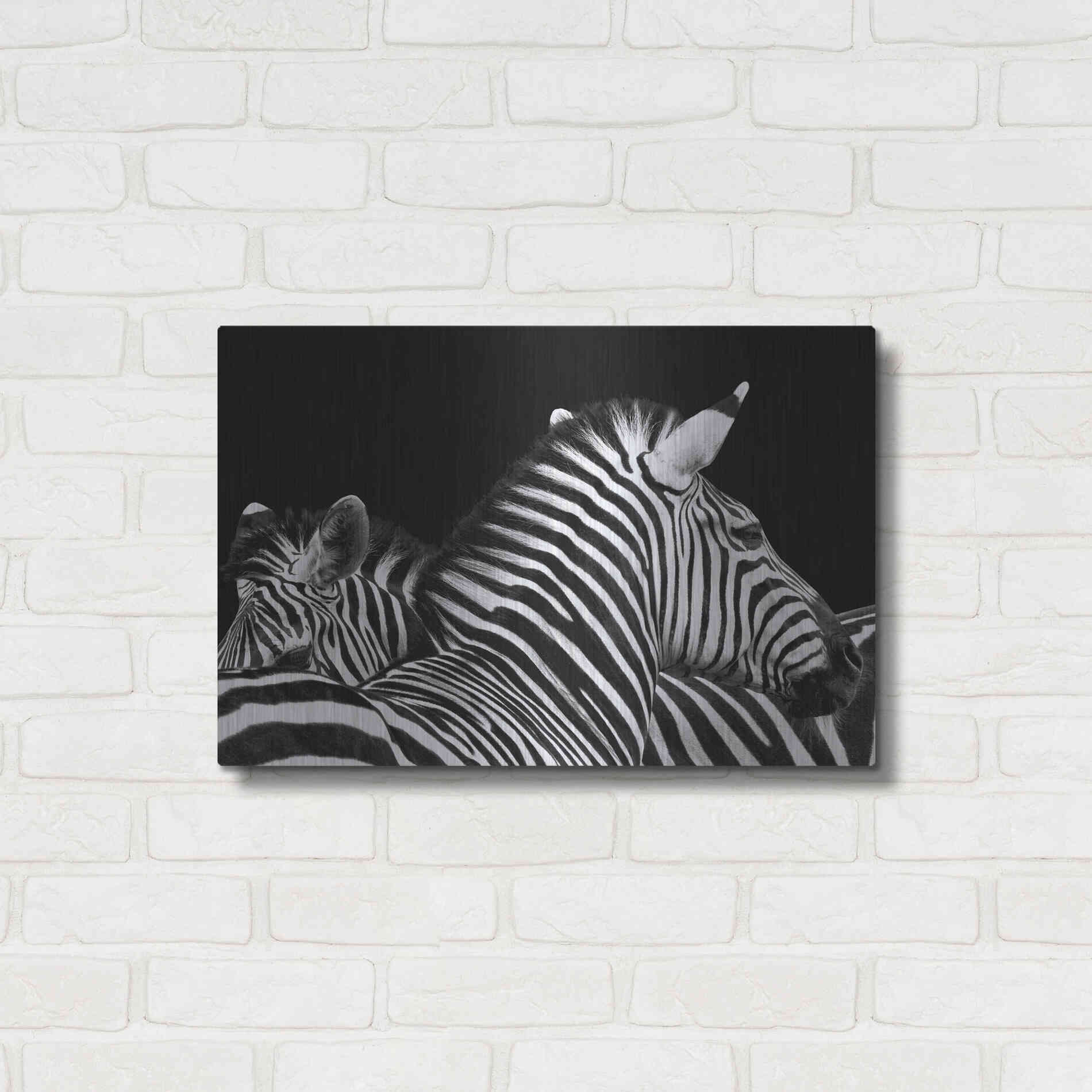 Luxe Metal Art 'Zebra I' by Debra Van Swearingen, Metal Wall Art,24x16