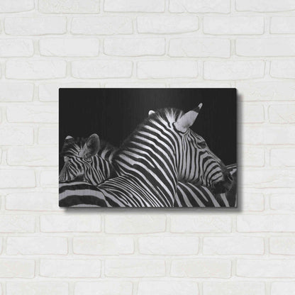 Luxe Metal Art 'Zebra I' by Debra Van Swearingen, Metal Wall Art,24x16