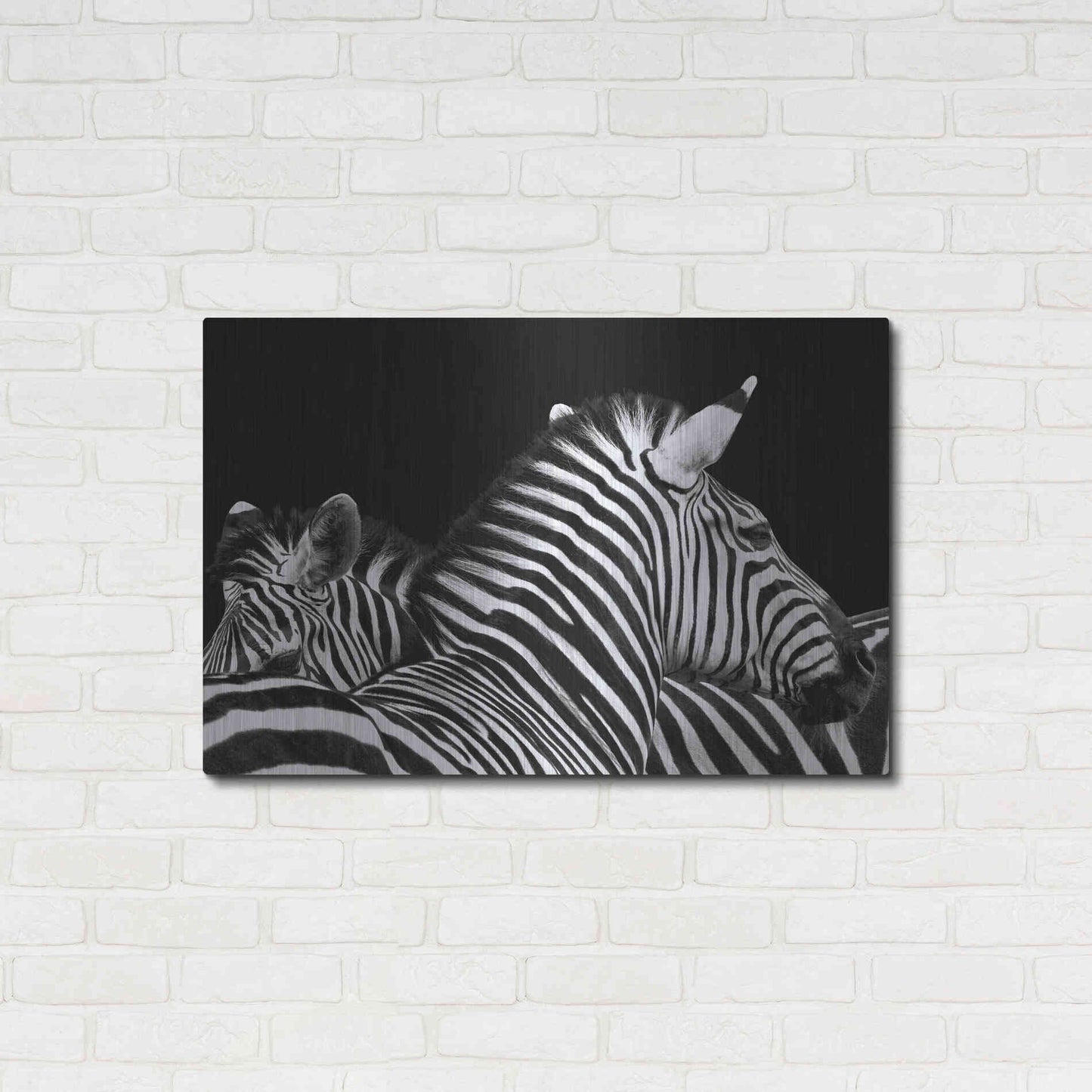 Luxe Metal Art 'Zebra I' by Debra Van Swearingen, Metal Wall Art,36x24