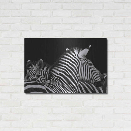 Luxe Metal Art 'Zebra I' by Debra Van Swearingen, Metal Wall Art,36x24