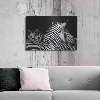 Luxe Metal Art 'Zebra I' by Debra Van Swearingen, Metal Wall Art,36x24