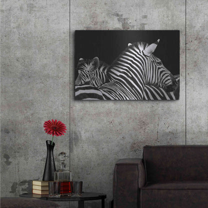 Luxe Metal Art 'Zebra I' by Debra Van Swearingen, Metal Wall Art,36x24