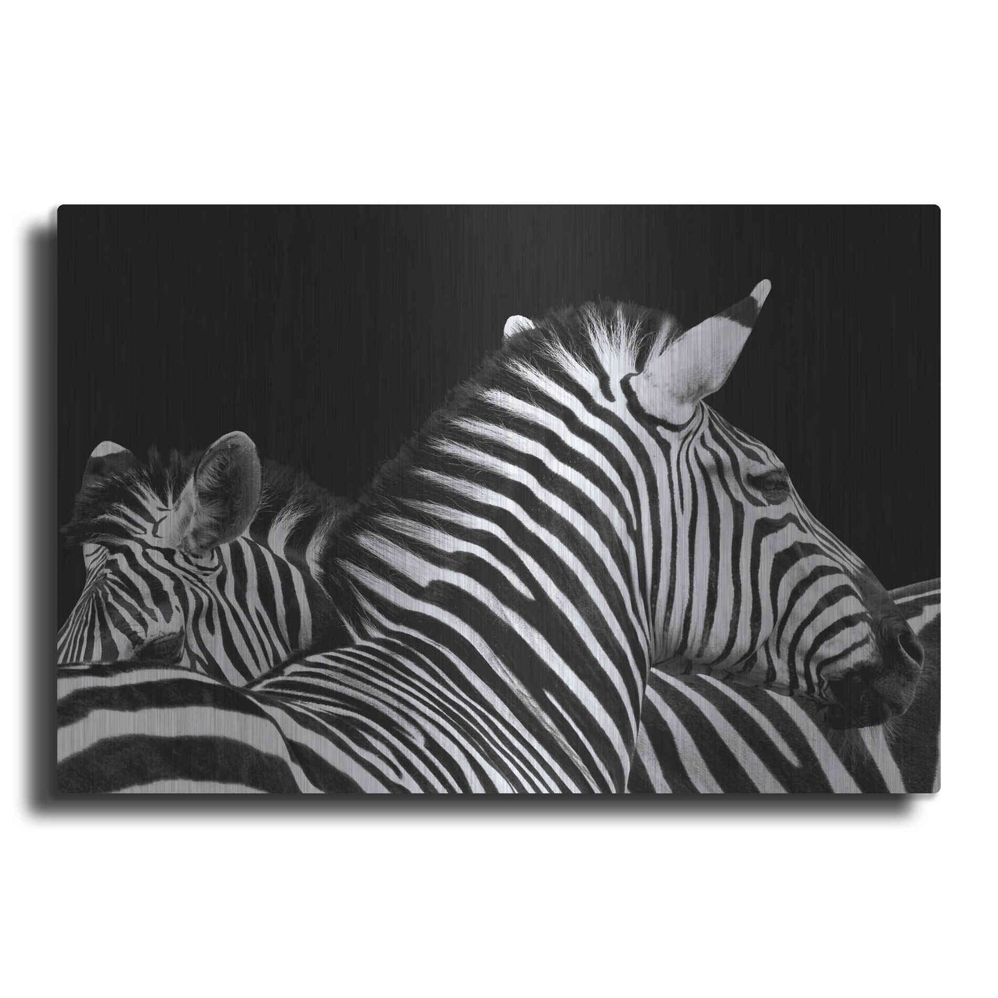 Luxe Metal Art 'Zebra I' by Debra Van Swearingen, Metal Wall Art