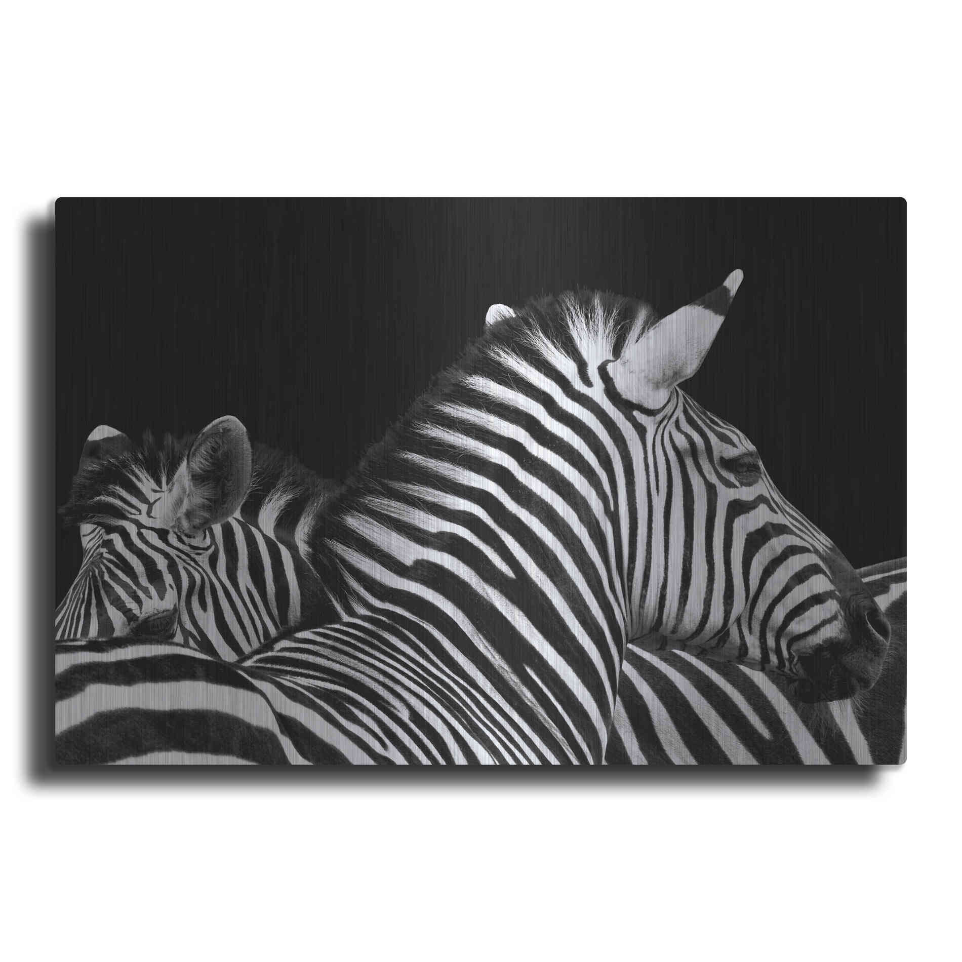 Luxe Metal Art 'Zebra I' by Debra Van Swearingen, Metal Wall Art