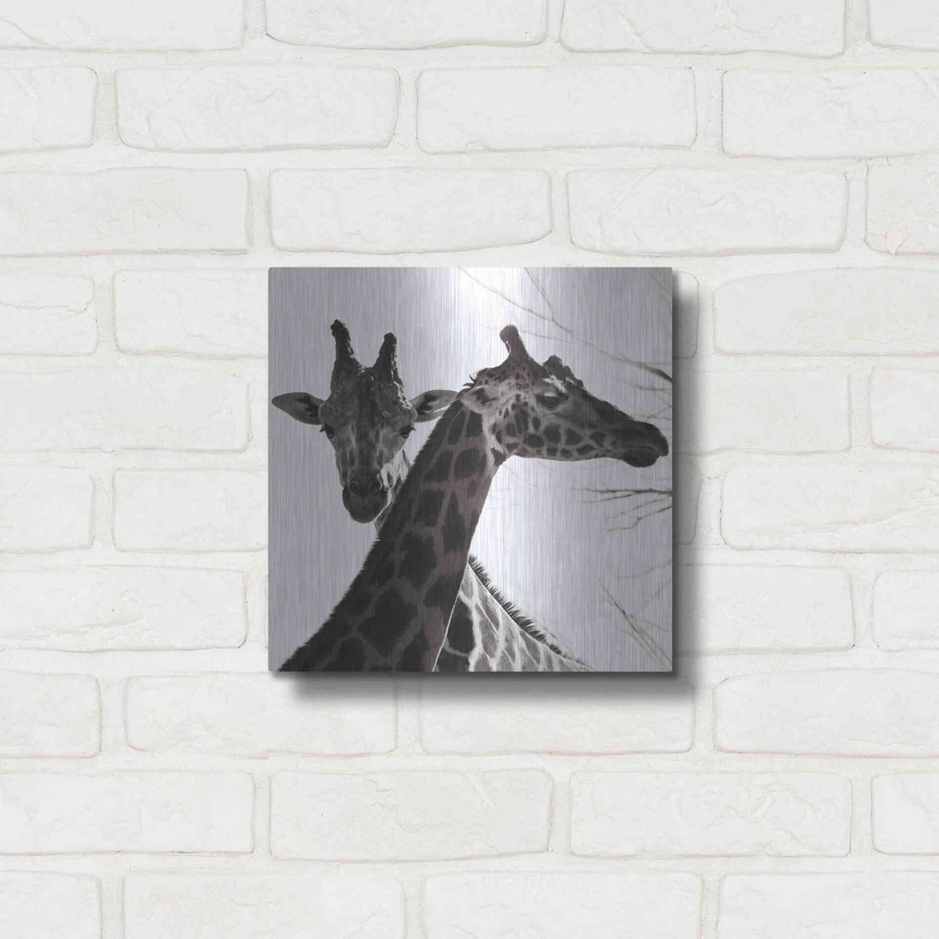 Luxe Metal Art 'Giraffe II' by Debra Van Swearingen, Metal Wall Art,12x12