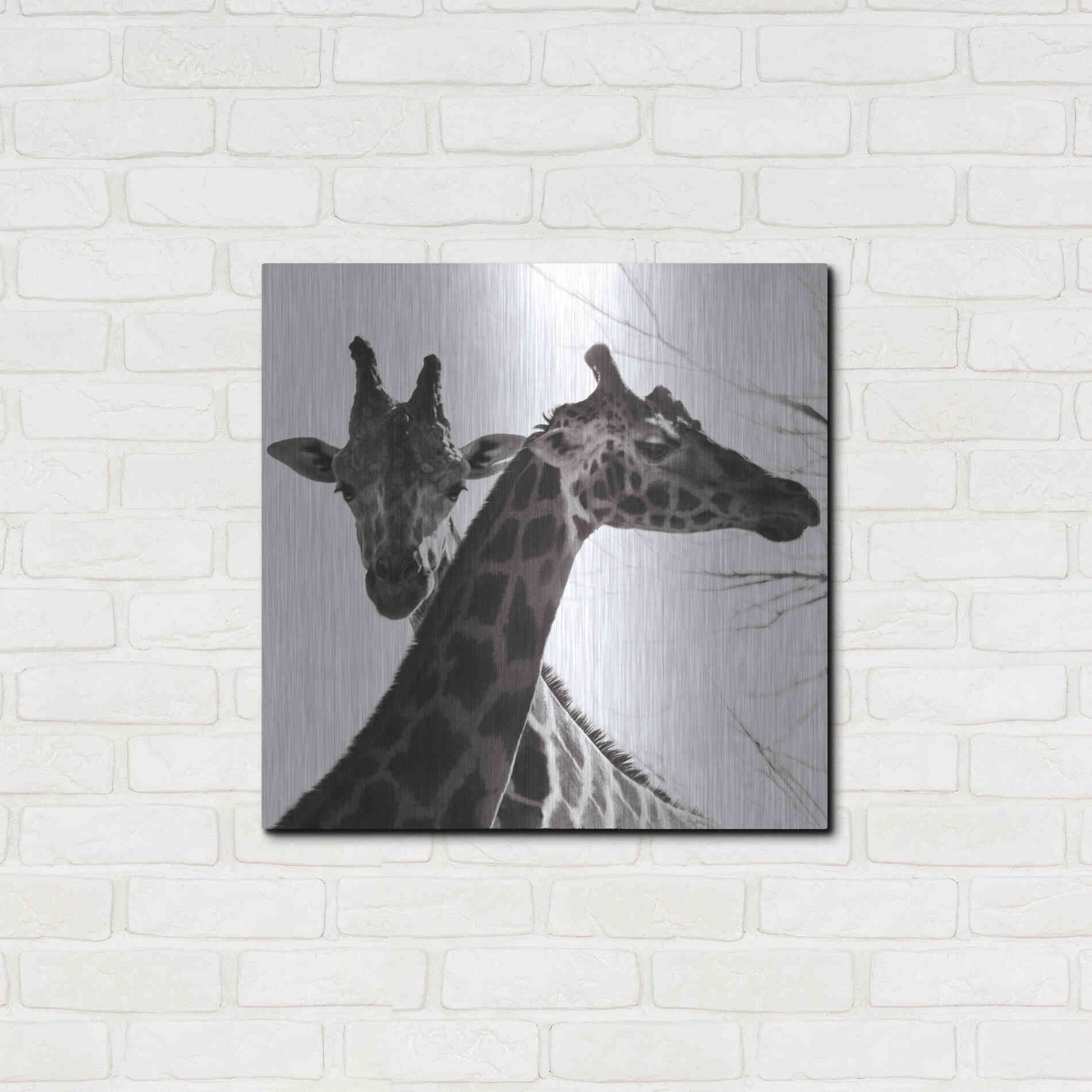 Luxe Metal Art 'Giraffe II' by Debra Van Swearingen, Metal Wall Art,24x24
