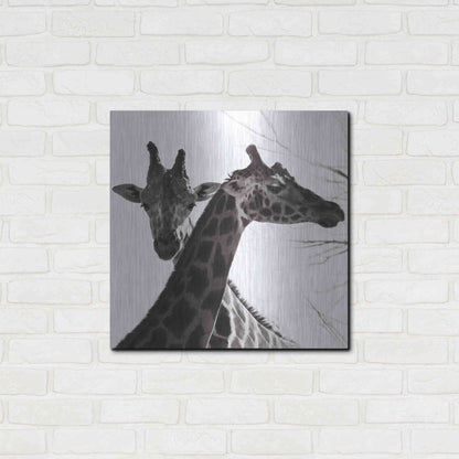 Luxe Metal Art 'Giraffe II' by Debra Van Swearingen, Metal Wall Art,24x24