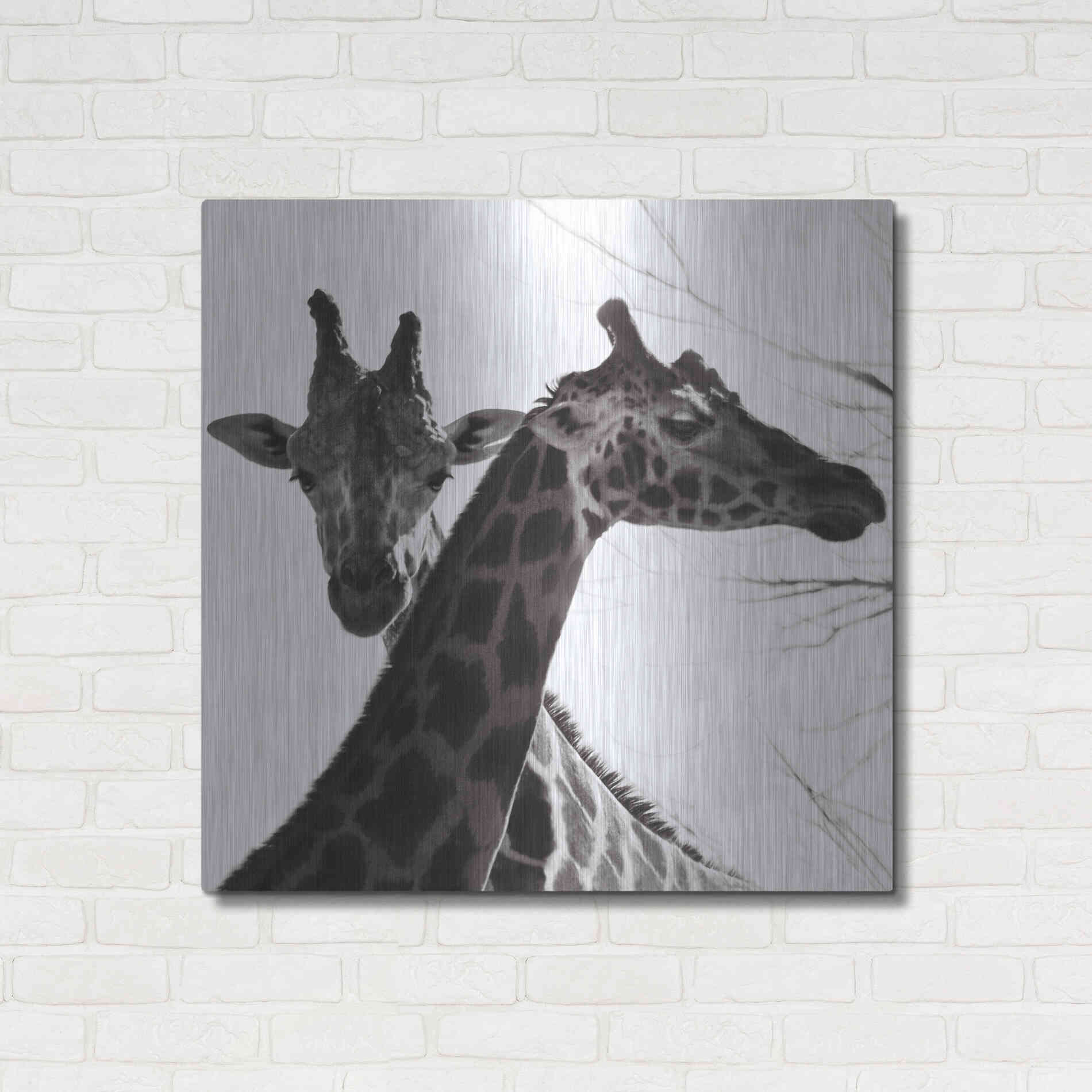 Luxe Metal Art 'Giraffe II' by Debra Van Swearingen, Metal Wall Art,36x36