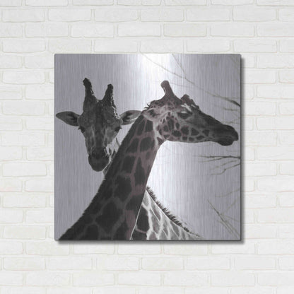 Luxe Metal Art 'Giraffe II' by Debra Van Swearingen, Metal Wall Art,36x36
