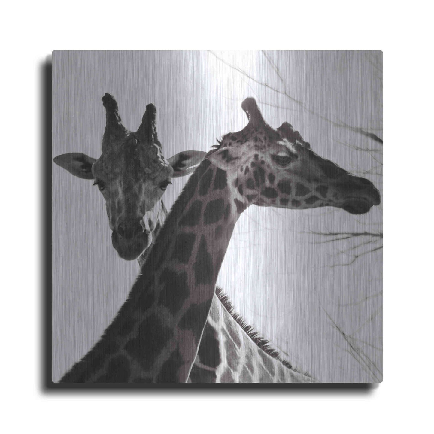 Luxe Metal Art 'Giraffe II' by Debra Van Swearingen, Metal Wall Art
