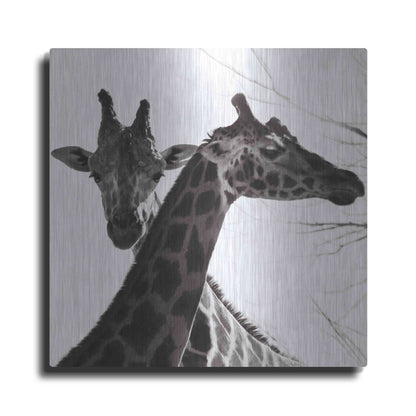 Luxe Metal Art 'Giraffe II' by Debra Van Swearingen, Metal Wall Art