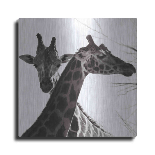 Luxe Metal Art 'Giraffe II' by Debra Van Swearingen, Metal Wall Art