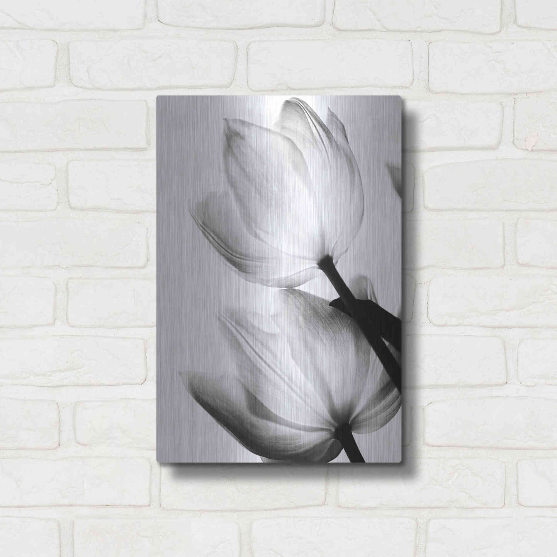 Luxe Metal Art 'Translucent Tulips II' by Debra Van Swearingen, Metal Wall Art,12x16