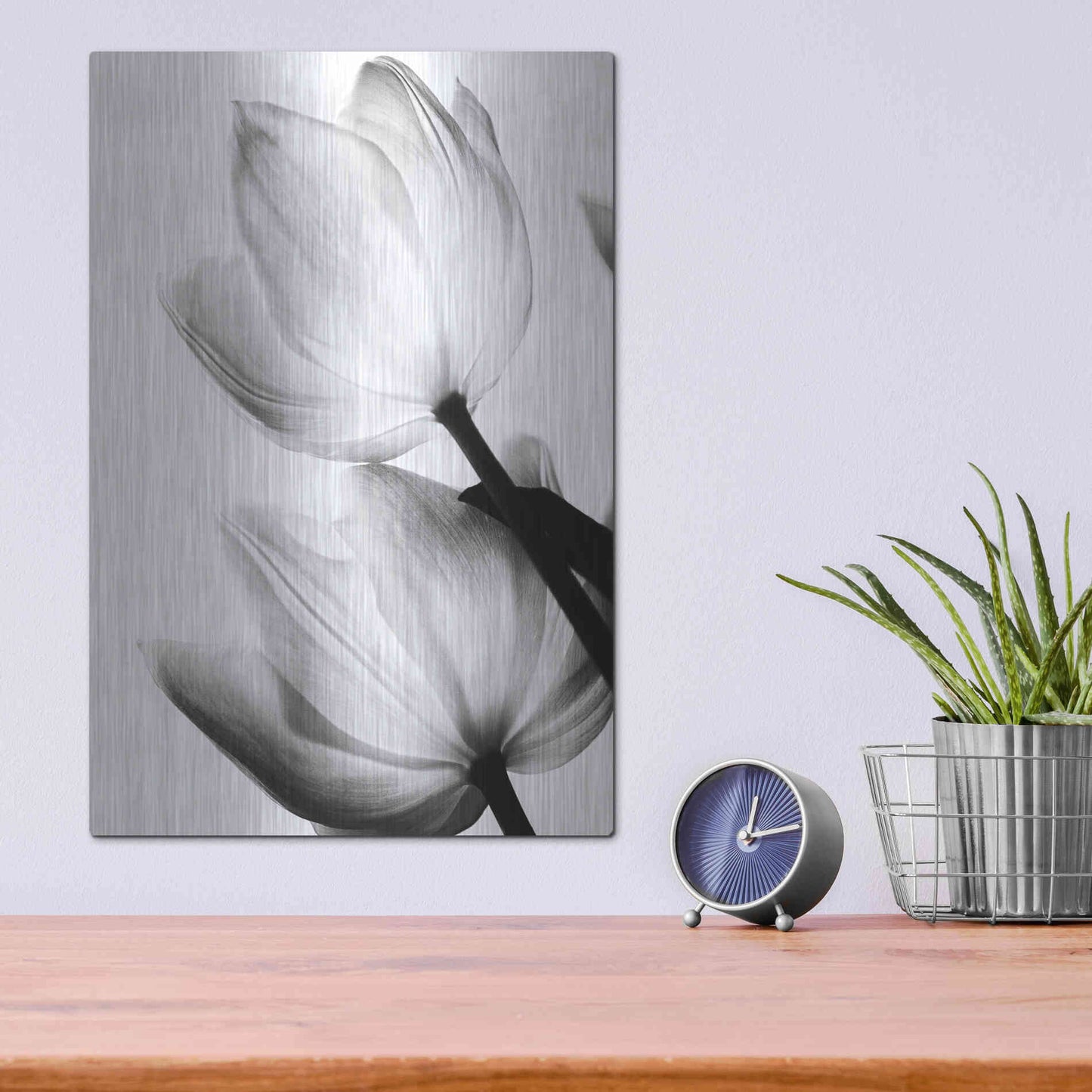Luxe Metal Art 'Translucent Tulips II' by Debra Van Swearingen, Metal Wall Art,12x16