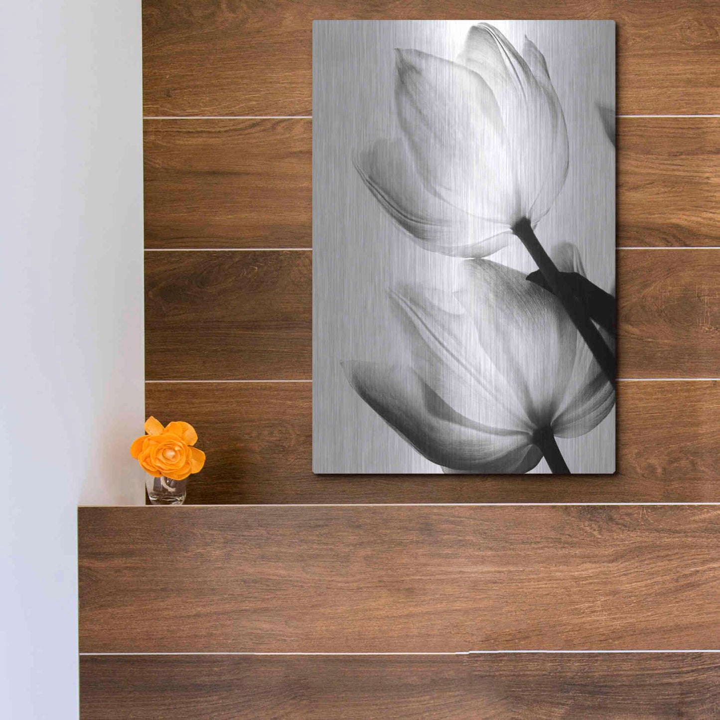Luxe Metal Art 'Translucent Tulips II' by Debra Van Swearingen, Metal Wall Art,12x16