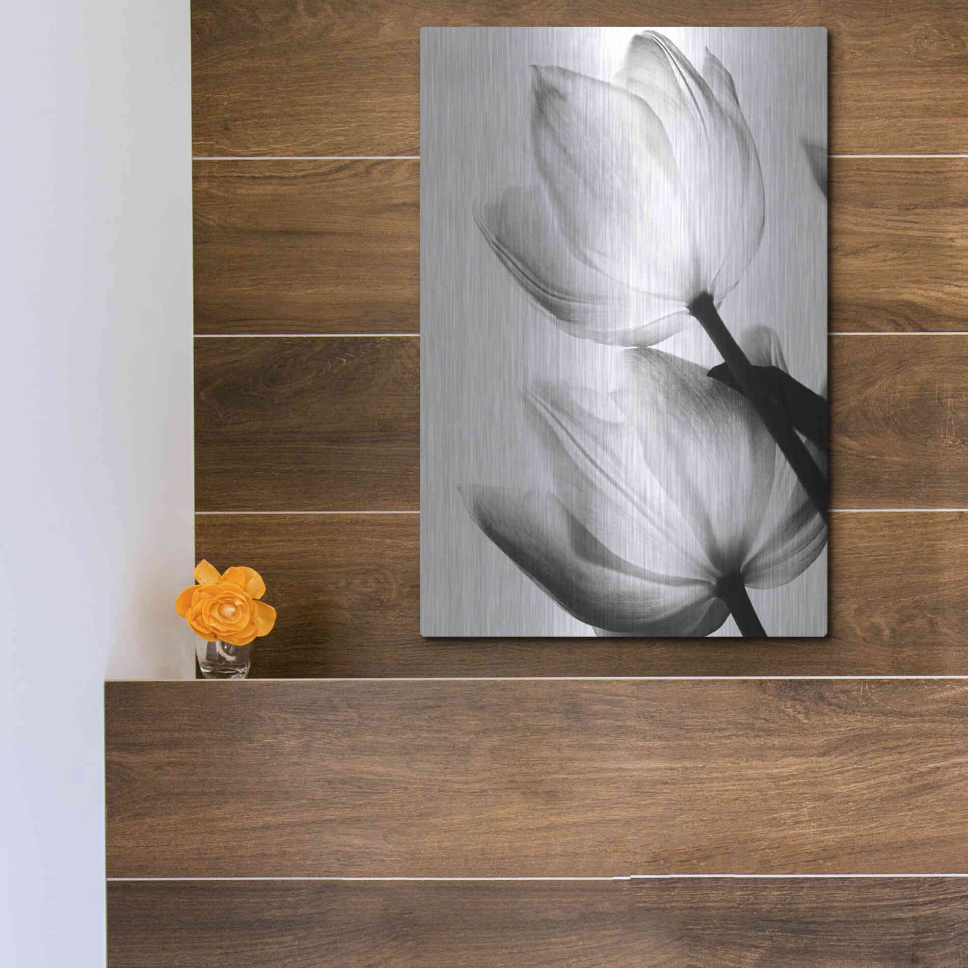Luxe Metal Art 'Translucent Tulips II' by Debra Van Swearingen, Metal Wall Art,12x16