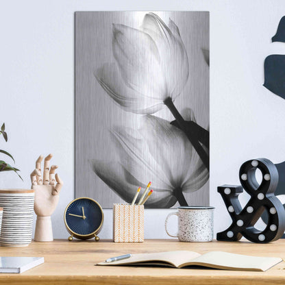Luxe Metal Art 'Translucent Tulips II' by Debra Van Swearingen, Metal Wall Art,12x16