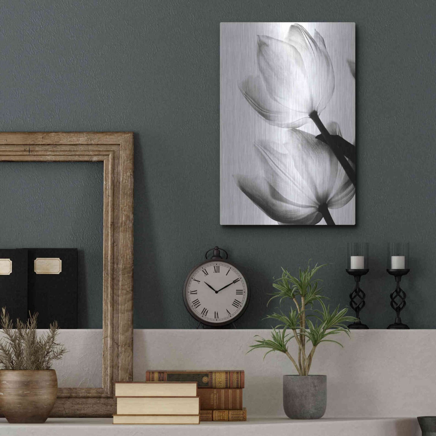 Luxe Metal Art 'Translucent Tulips II' by Debra Van Swearingen, Metal Wall Art,12x16