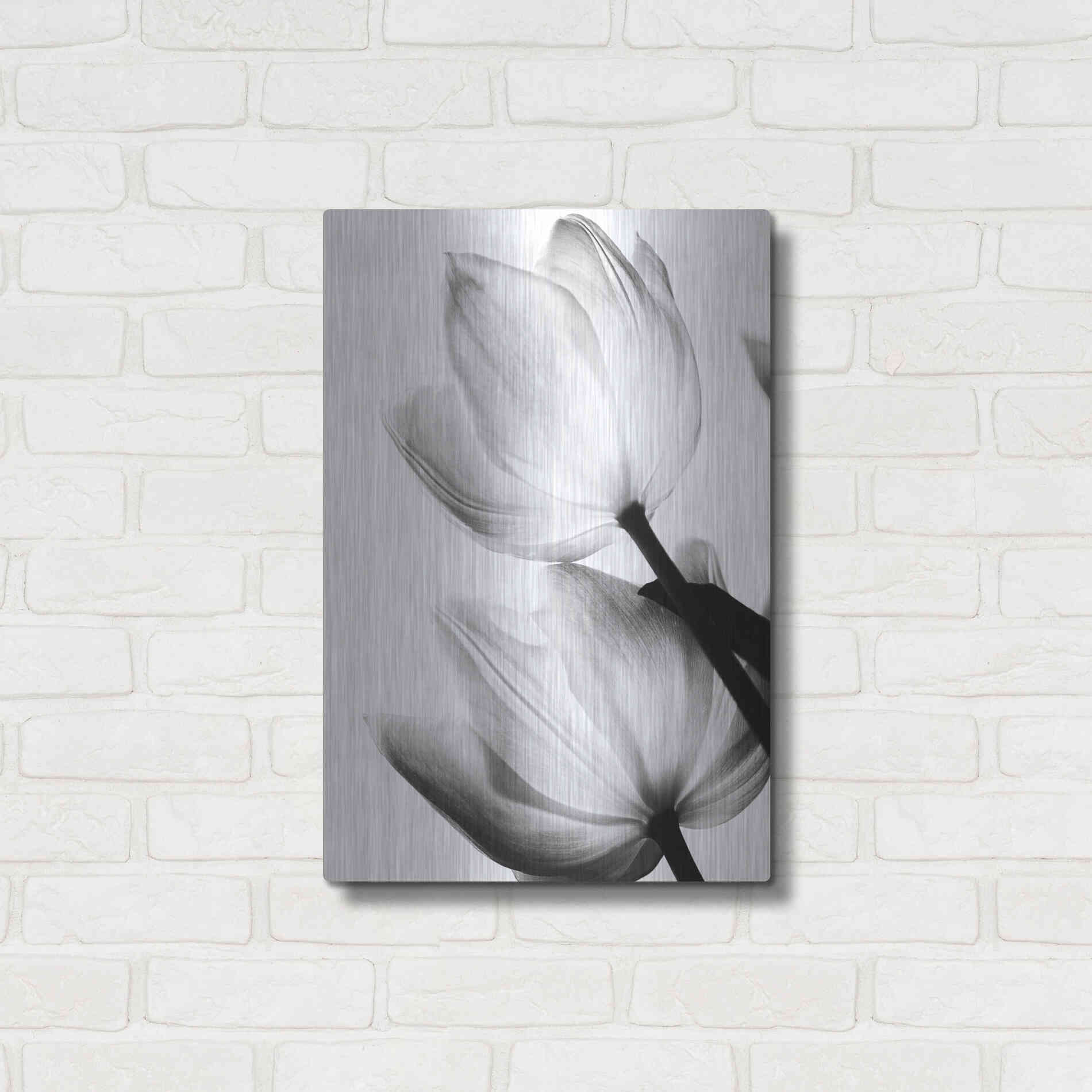 Luxe Metal Art 'Translucent Tulips II' by Debra Van Swearingen, Metal Wall Art,16x24