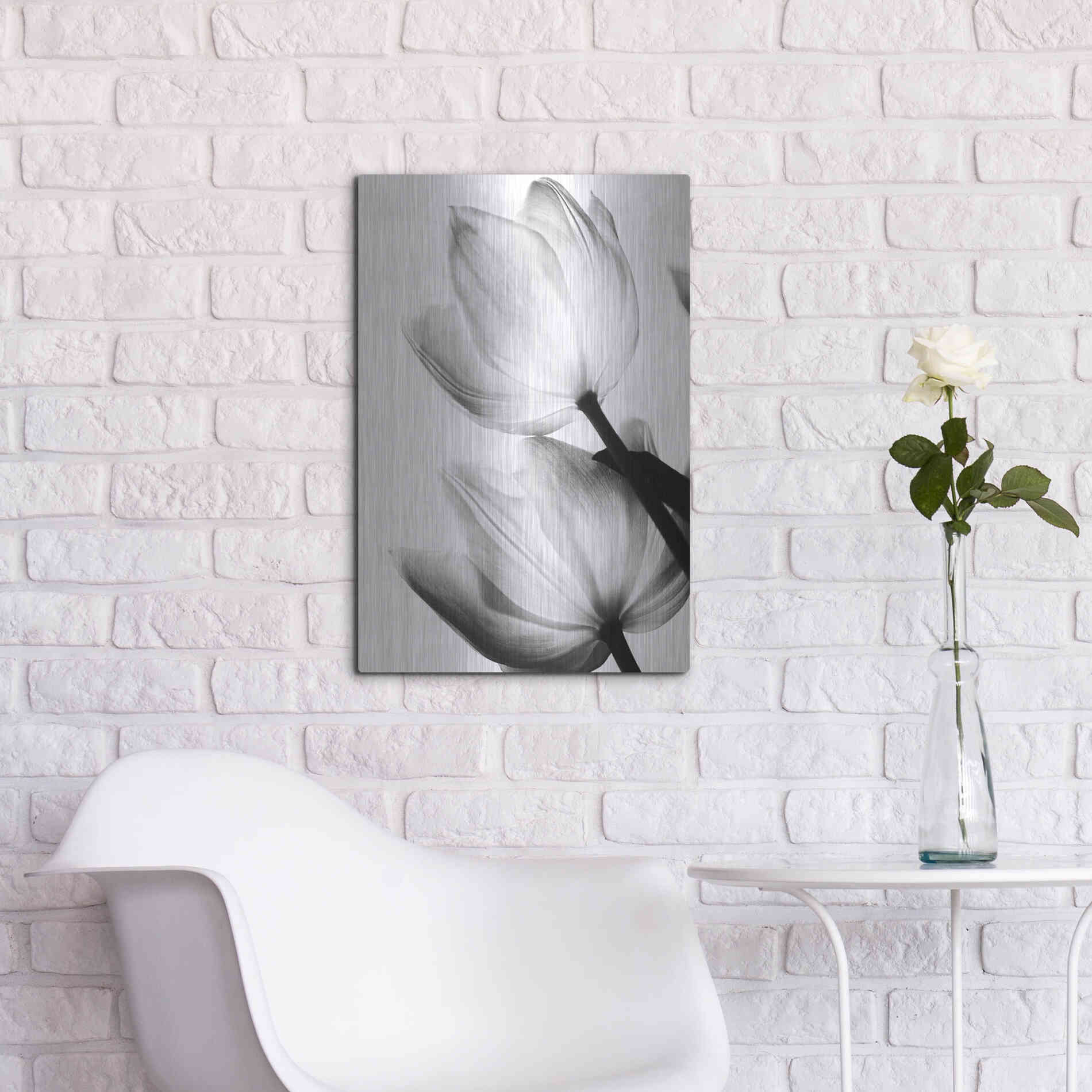 Luxe Metal Art 'Translucent Tulips II' by Debra Van Swearingen, Metal Wall Art,16x24