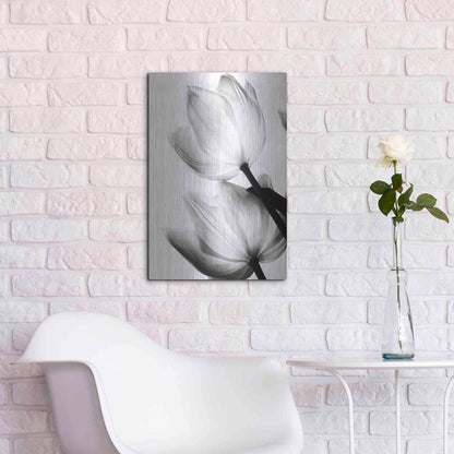 Luxe Metal Art 'Translucent Tulips II' by Debra Van Swearingen, Metal Wall Art,16x24