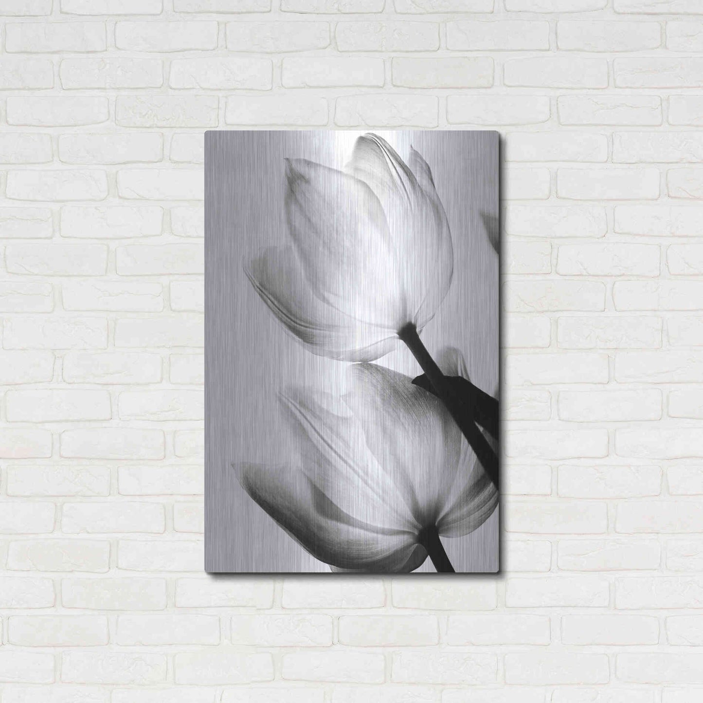Luxe Metal Art 'Translucent Tulips II' by Debra Van Swearingen, Metal Wall Art,24x36