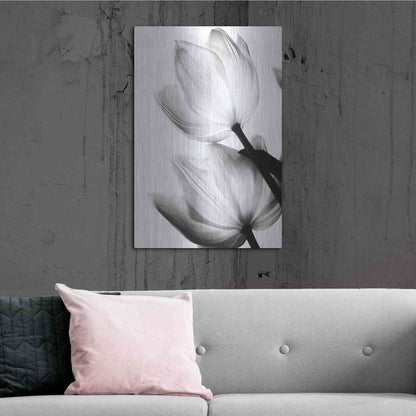 Luxe Metal Art 'Translucent Tulips II' by Debra Van Swearingen, Metal Wall Art,24x36