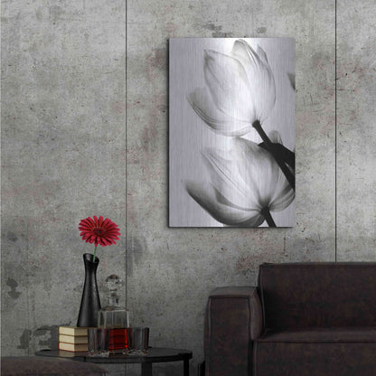 Luxe Metal Art 'Translucent Tulips II' by Debra Van Swearingen, Metal Wall Art,24x36