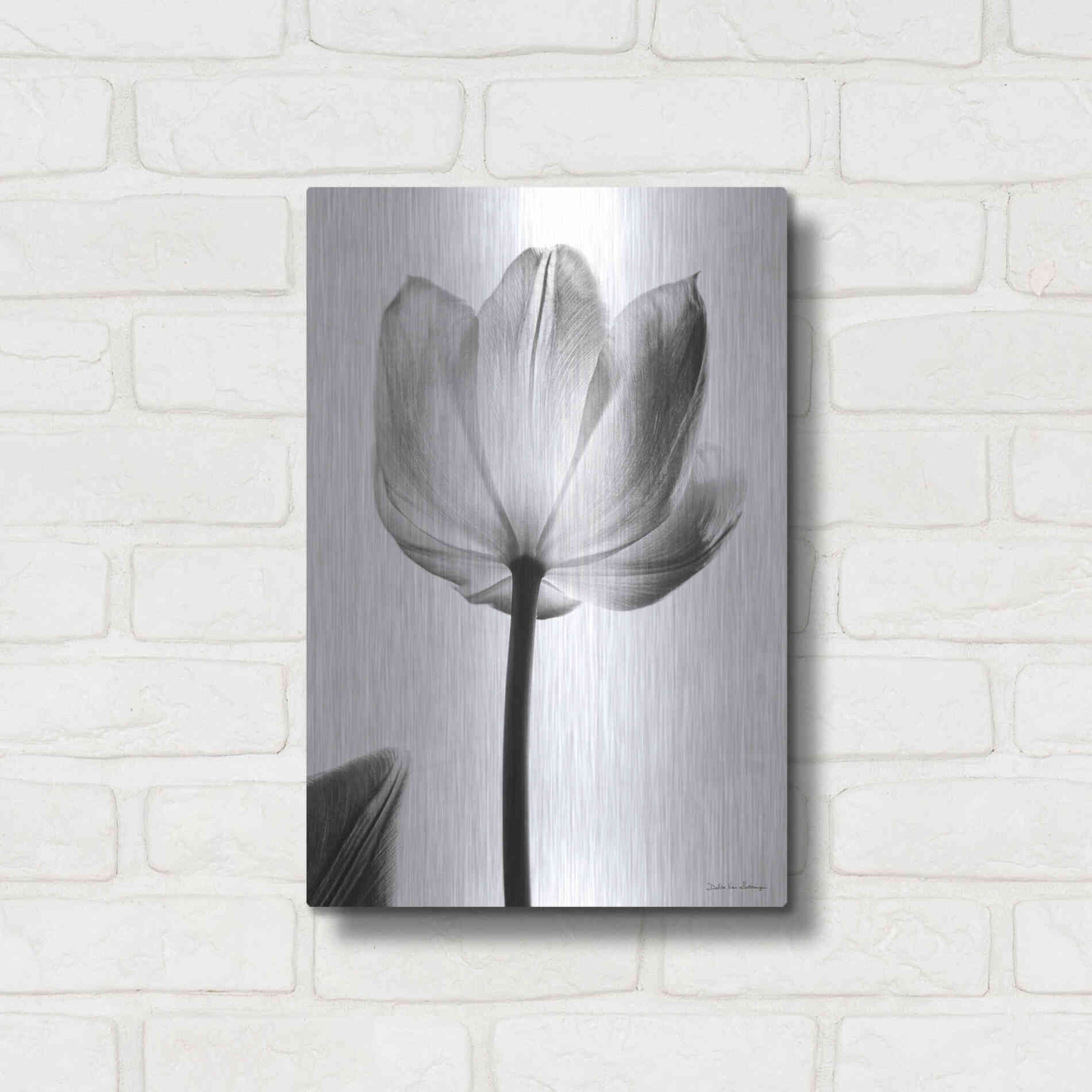 Luxe Metal Art 'Translucent Tulips I' by Debra Van Swearingen, Metal Wall Art,12x16