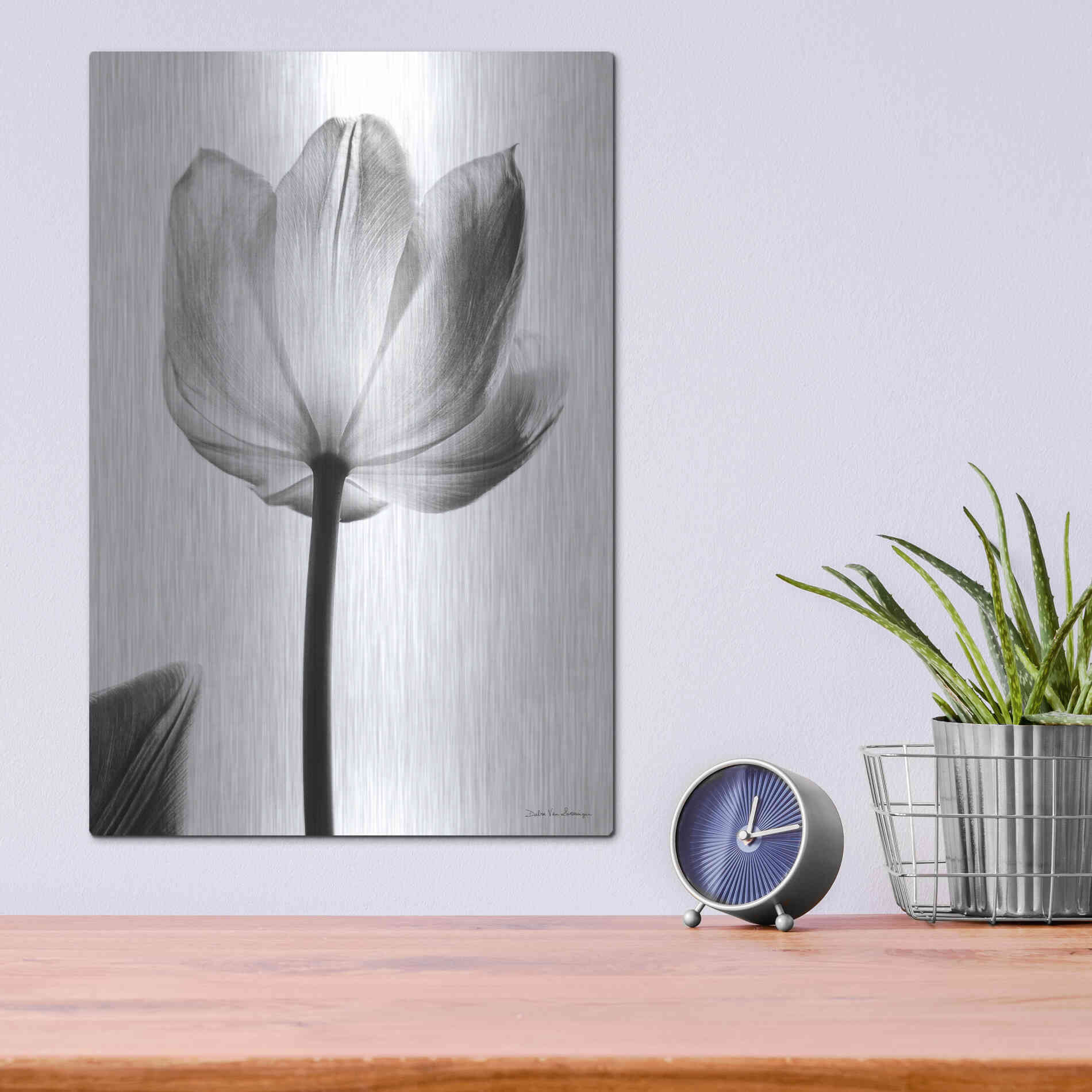 Luxe Metal Art 'Translucent Tulips I' by Debra Van Swearingen, Metal Wall Art,12x16