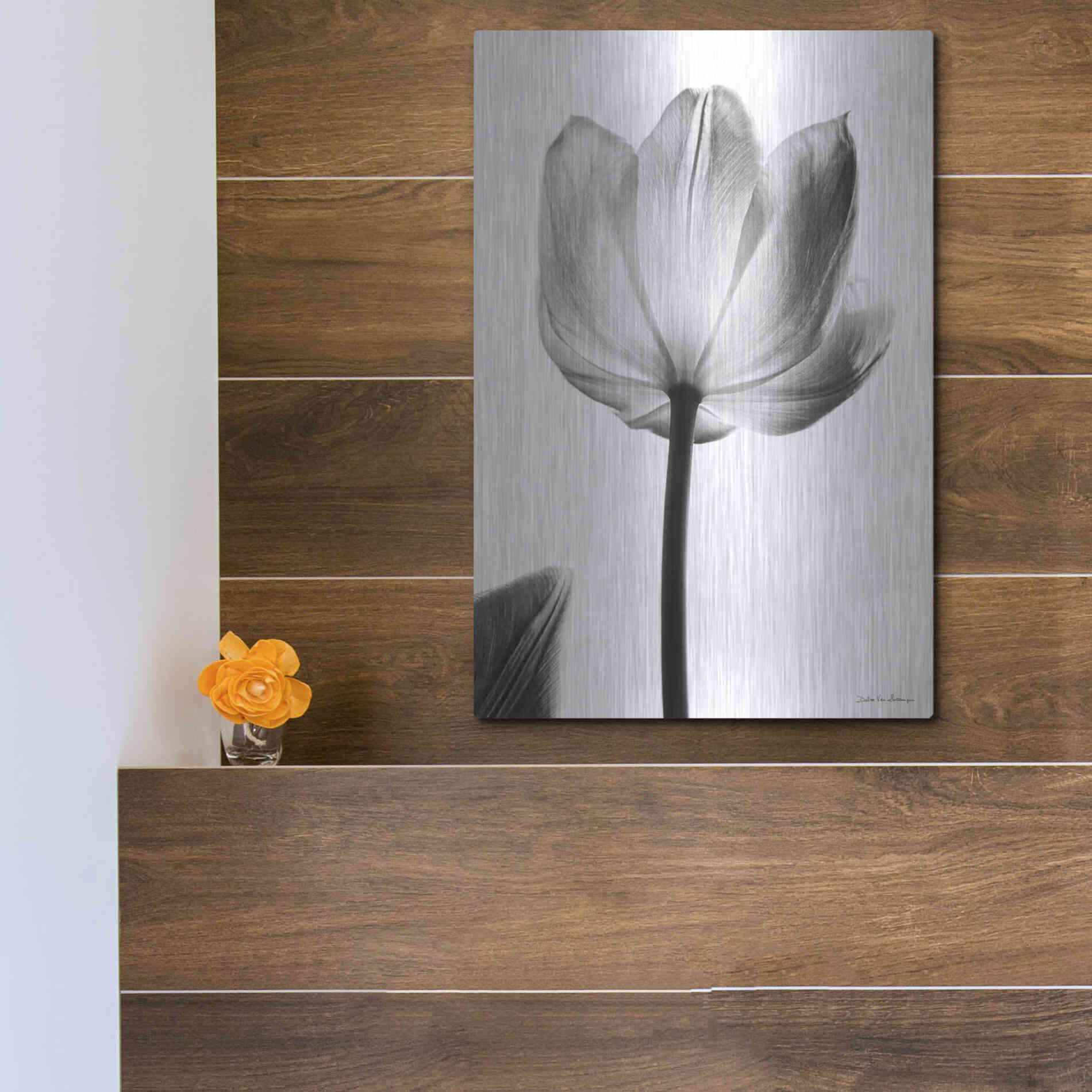 Luxe Metal Art 'Translucent Tulips I' by Debra Van Swearingen, Metal Wall Art,12x16