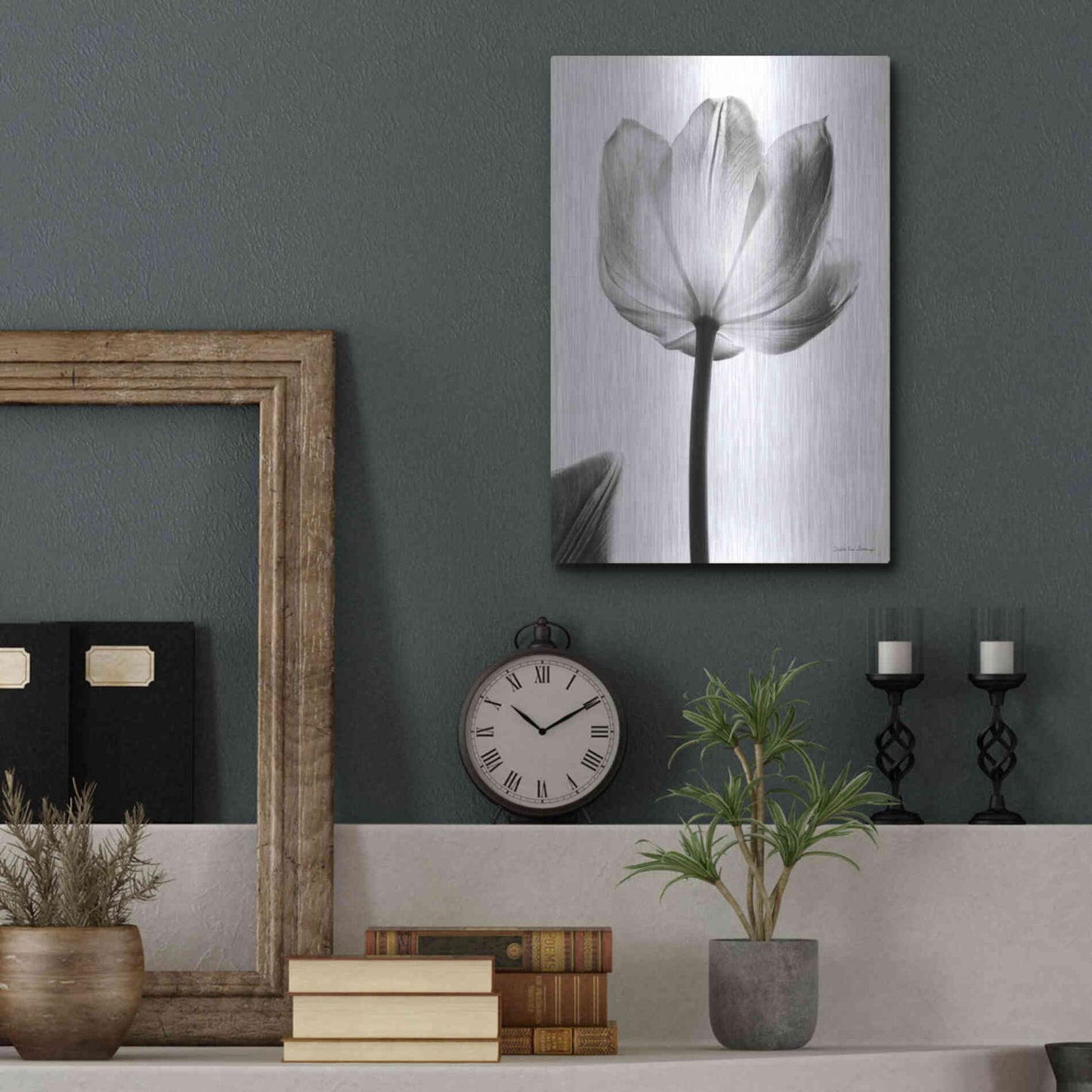Luxe Metal Art 'Translucent Tulips I' by Debra Van Swearingen, Metal Wall Art,12x16