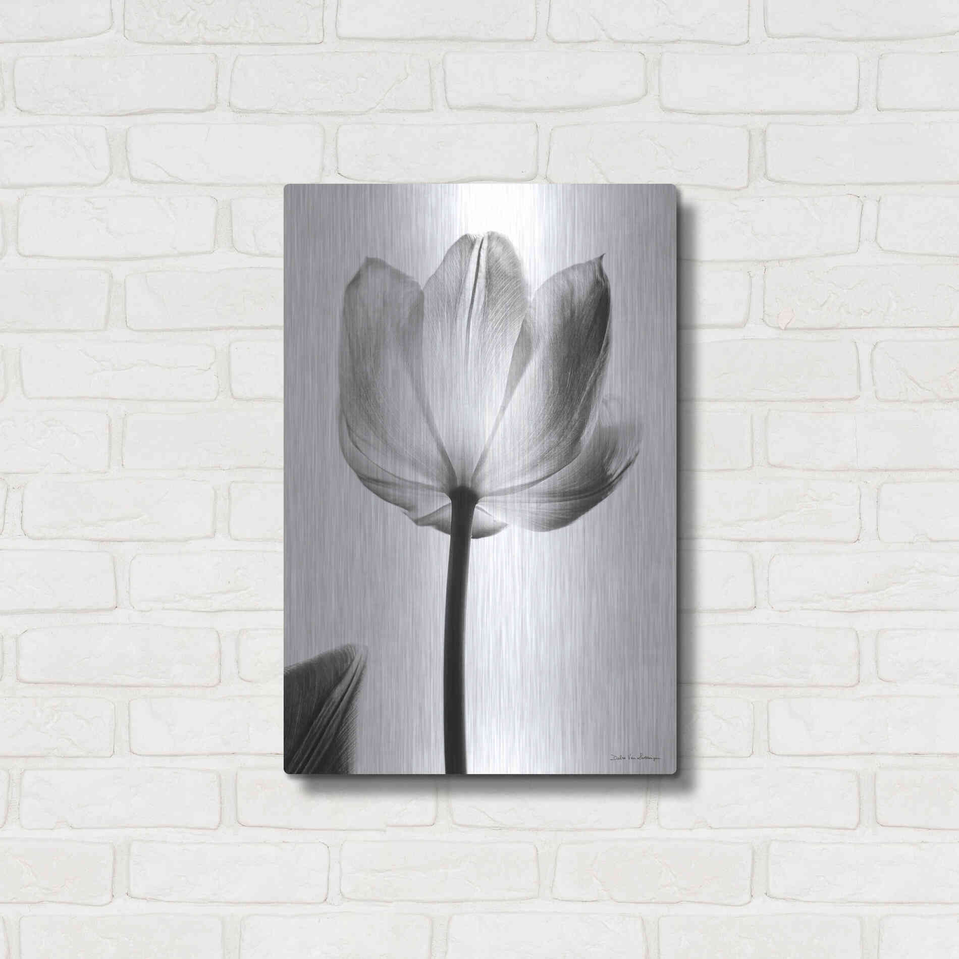 Luxe Metal Art 'Translucent Tulips I' by Debra Van Swearingen, Metal Wall Art,16x24