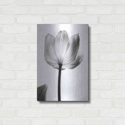 Luxe Metal Art 'Translucent Tulips I' by Debra Van Swearingen, Metal Wall Art,16x24