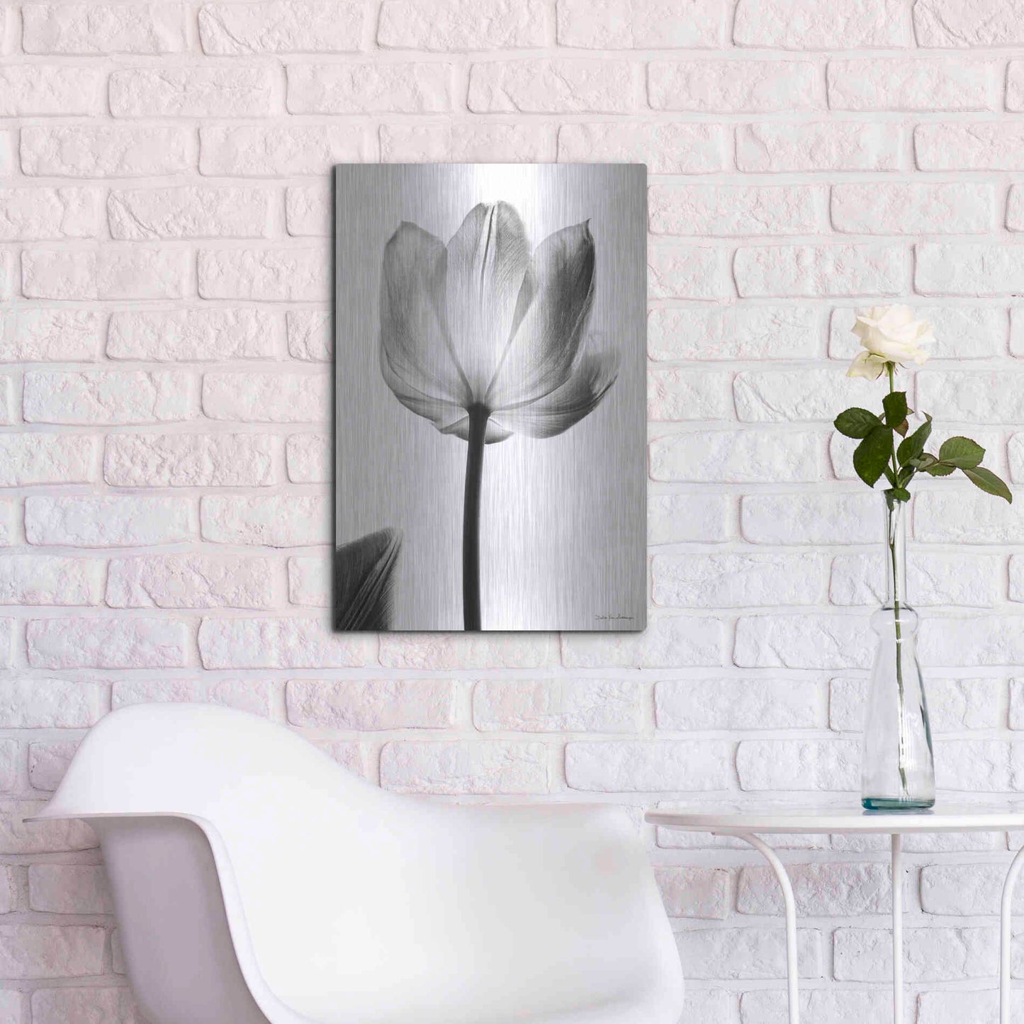 Luxe Metal Art 'Translucent Tulips I' by Debra Van Swearingen, Metal Wall Art,16x24