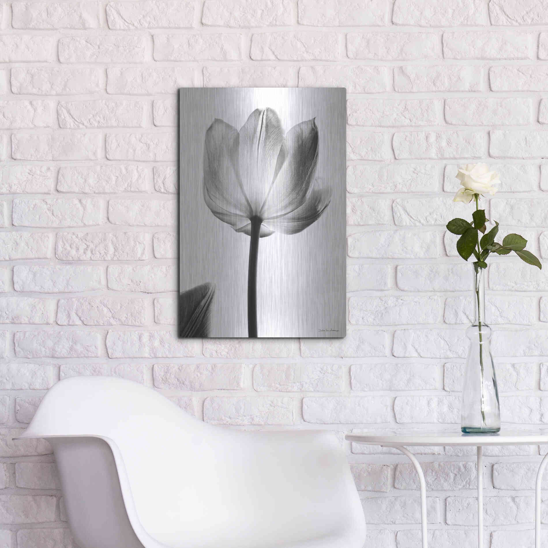Luxe Metal Art 'Translucent Tulips I' by Debra Van Swearingen, Metal Wall Art,16x24