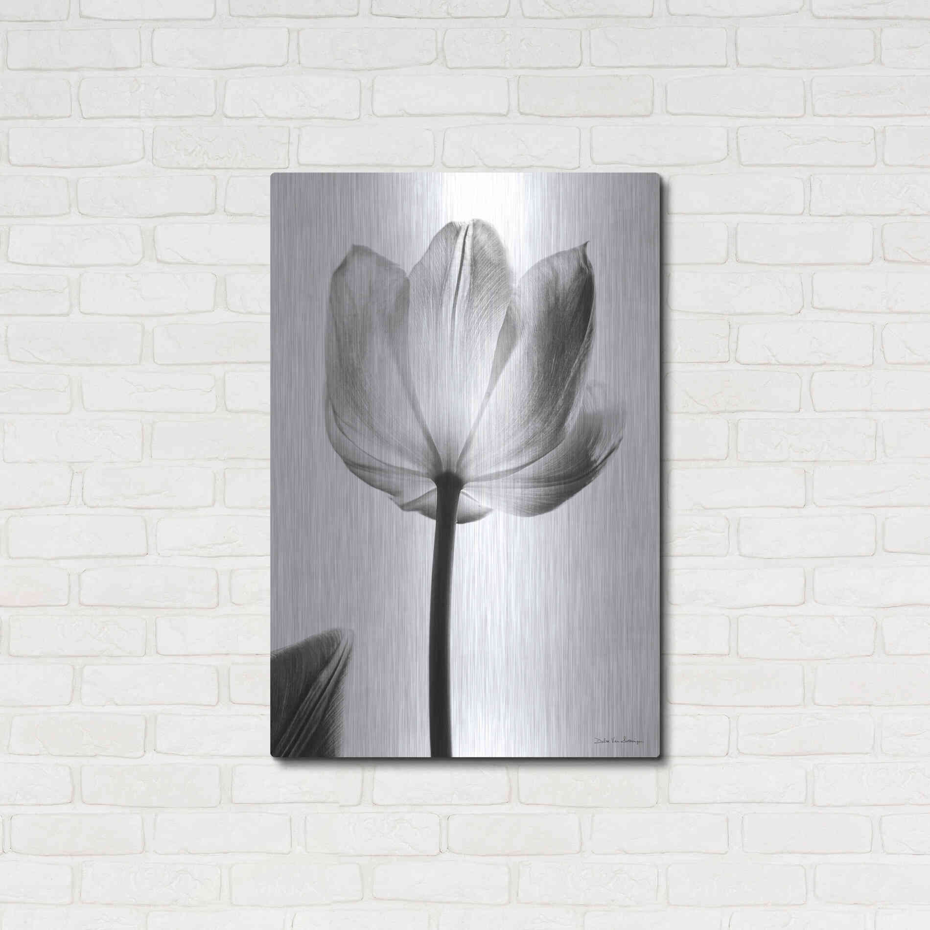 Luxe Metal Art 'Translucent Tulips I' by Debra Van Swearingen, Metal Wall Art,24x36