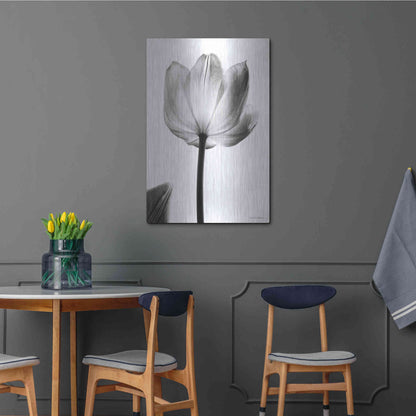 Luxe Metal Art 'Translucent Tulips I' by Debra Van Swearingen, Metal Wall Art,24x36
