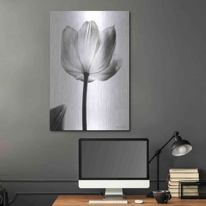 Luxe Metal Art 'Translucent Tulips I' by Debra Van Swearingen, Metal Wall Art,24x36